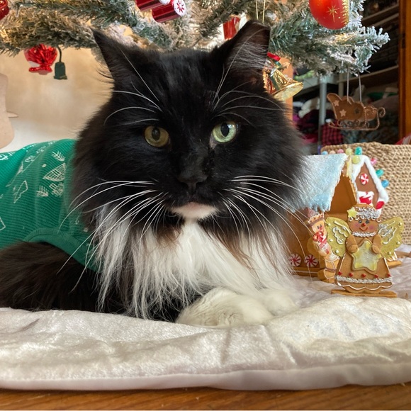 Meet the Posher! - Picture 4 of 4